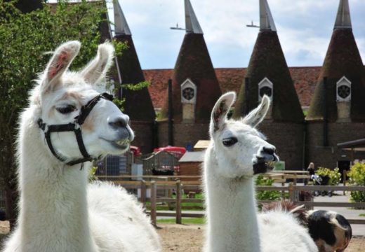 Family Park Entry Fee News!