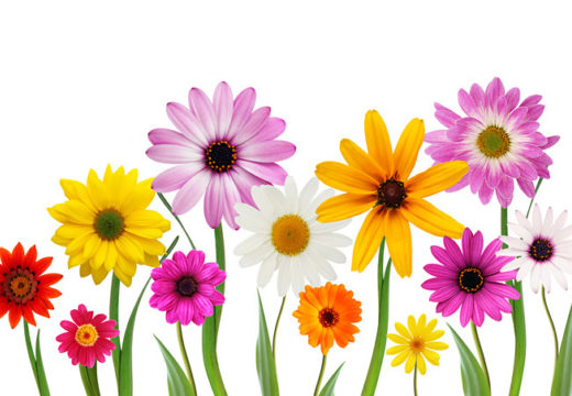 Mothers Day Special Lunch Event